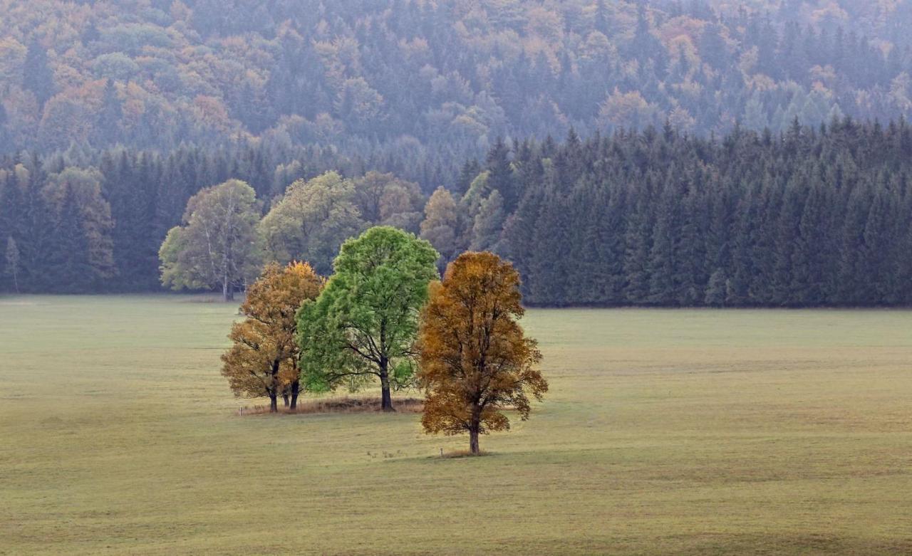 Przystanek Lasowka Exteriör bild